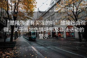 “醴陵哪里有買淫的嗎”醴陵社會觀察，關于當?shù)厣閳鏊胺欠ɑ顒拥木? title=