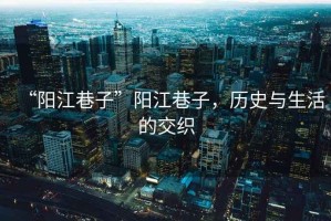 “陽江巷子”陽江巷子，歷史與生活的交織