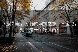 風(fēng)景如畫，孫儷的演技之旅—三寶論，她不是一個(gè)好演員？