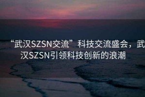 “武漢SZSN交流”科技交流盛會，武漢SZSN引領(lǐng)科技創(chuàng)新的浪潮