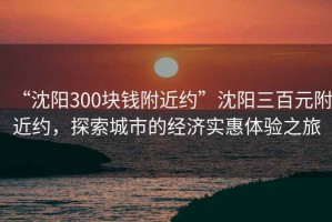 “沈陽300塊錢附近約”沈陽三百元附近約，探索城市的經(jīng)濟(jì)實(shí)惠體驗(yàn)之旅