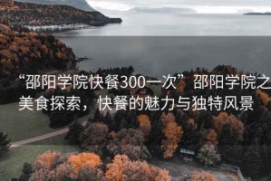 “邵陽學(xué)院快餐300一次”邵陽學(xué)院之美食探索，快餐的魅力與獨特風(fēng)景