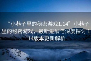 “小巷子里的秘密游戲1.14”小巷子里的秘密游戲，最新進展與深度探討 1.14版本更新解析