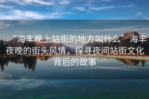 “海豐晚上站街的地方叫什么”海豐夜晚的街頭風情，探尋夜間站街文化背后的故事