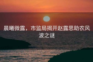 晨曦微露，市監(jiān)局揭開趙露思助農(nóng)風波之謎
