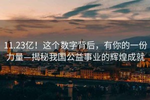 11.23億！這個數(shù)字背后，有你的一份力量—揭秘我國公益事業(yè)的輝煌成就