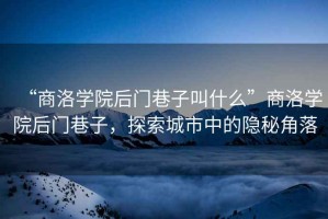 “商洛學院后門巷子叫什么”商洛學院后門巷子，探索城市中的隱秘角落