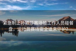 緊急制止孫穎莎賽場(chǎng)被工作人員碰餐盤，運(yùn)動(dòng)員賽場(chǎng)安全誰(shuí)來(lái)守護(hù)？