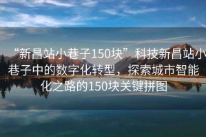 “新昌站小巷子150塊”科技新昌站小巷子中的數(shù)字化轉型，探索城市智能化之路的150塊關鍵拼圖