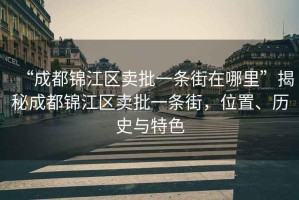 “成都錦江區(qū)賣批一條街在哪里”揭秘成都錦江區(qū)賣批一條街，位置、歷史與特色