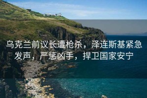 烏克蘭前議長遭槍殺，澤連斯基緊急發(fā)聲，嚴(yán)懲兇手，捍衛(wèi)國家安寧