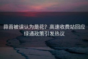 蒜苔被誤認(rèn)為是花？高速收費(fèi)站回應(yīng)綠通政策引發(fā)熱議