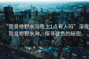 “觀音橋野水溝晚上1點有人嗎”深夜觀音橋野水溝，探尋夜色的秘密