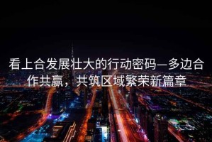 看上合發(fā)展壯大的行動密碼—多邊合作共贏，共筑區(qū)域繁榮新篇章