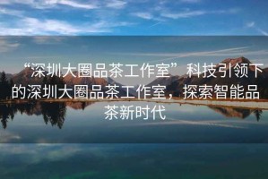 “深圳大圈品茶工作室”科技引領(lǐng)下的深圳大圈品茶工作室，探索智能品茶新時(shí)代
