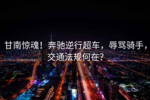 甘南驚魂！奔馳逆行超車，辱罵騎手，交通法規(guī)何在？