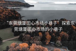 “東莞塘廈田心市場(chǎng)小巷子”探索東莞塘廈田心市場(chǎng)的小巷子