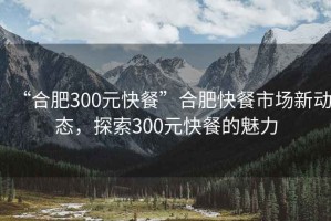 “合肥300元快餐”合肥快餐市場(chǎng)新動(dòng)態(tài)，探索300元快餐的魅力