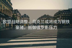 歐盟戰(zhàn)略調(diào)整，烏克蘭或?qū)⒊蔀殇撹F豪豬，抵御俄羅斯壓力