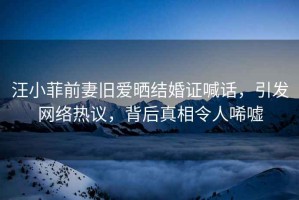 汪小菲前妻舊愛曬結(jié)婚證喊話，引發(fā)網(wǎng)絡熱議，背后真相令人唏噓