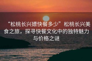 “松桃長興嫖快餐多少”松桃長興美食之旅，探尋快餐文化中的獨特魅力與價格之謎
