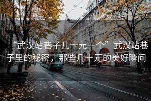 “武漢站巷子幾十元一個(gè)”武漢站巷子里的秘密，那些幾十元的美好瞬間