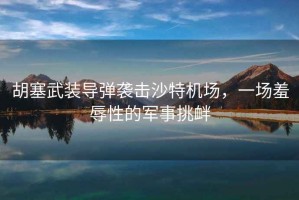 胡塞武裝導(dǎo)彈襲擊沙特機(jī)場(chǎng)，一場(chǎng)羞辱性的軍事挑釁