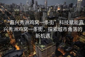 “嘉興秀洲雞窩一條街”科技賦能嘉興秀洲雞窩一條街，探索城市角落的新機(jī)遇
