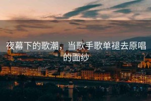 夜幕下的歌潮，當(dāng)歌手歌單褪去原唱的面紗