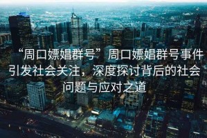“周口嫖娼群號”周口嫖娼群號事件引發(fā)社會關注，深度探討背后的社會問題與應對之道