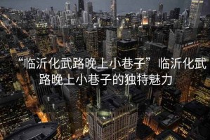 “臨沂化武路晚上小巷子”臨沂化武路晚上小巷子的獨特魅力