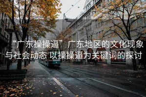 “廣東操操逼”廣東地區(qū)的文化現(xiàn)象與社會(huì)動(dòng)態(tài) 以操操逼為關(guān)鍵詞的探討