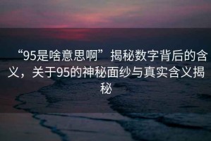 “95是啥意思啊”揭秘?cái)?shù)字背后的含義，關(guān)于95的神秘面紗與真實(shí)含義揭秘