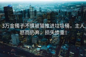 3萬金鐲子不慎被貓推進(jìn)垃圾桶，主人怒而扔棄，損失慘重！