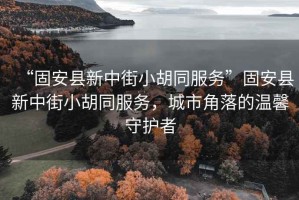 “固安縣新中街小胡同服務(wù)”固安縣新中街小胡同服務(wù)，城市角落的溫馨守護(hù)者
