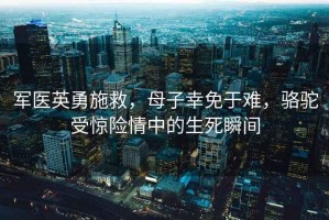 軍醫(yī)英勇施救，母子幸免于難，駱駝受驚險情中的生死瞬間