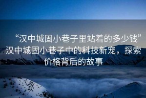 “漢中城固小巷子里站著的多少錢”漢中城固小巷子中的科技新寵，探索價格背后的故事