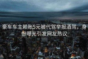 豪車車主賴賬5元被代駕舉報酒駕，身份曝光引發(fā)網(wǎng)友熱議