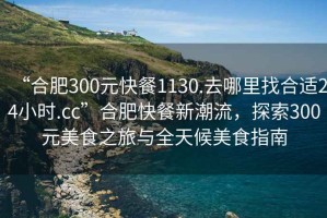 “合肥300元快餐1130.去哪里找合適24小時.cc”合肥快餐新潮流，探索300元美食之旅與全天候美食指南