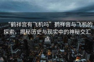 “鶴祥宮有飛機嗎”鶴祥宮與飛機的探索，揭秘歷史與現實中的神秘交匯點