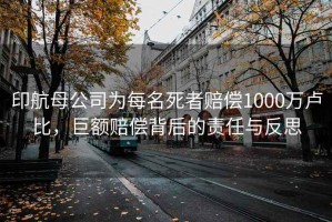 印航母公司為每名死者賠償1000萬(wàn)盧比，巨額賠償背后的責(zé)任與反思