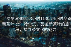 “哈爾濱400元3小時1130.24小時品鑒新茶葉.cc”哈爾濱，品鑒新茶葉的旅程，探尋茶文化的魅力