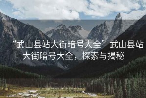 “武山縣站大街暗號(hào)大全”武山縣站大街暗號(hào)大全，探索與揭秘