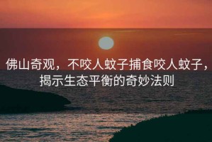 佛山奇觀，不咬人蚊子捕食咬人蚊子，揭示生態(tài)平衡的奇妙法則