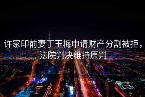 許家印前妻丁玉梅申請財產(chǎn)分割被拒，法院判決維持原判