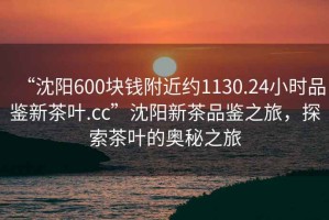 “沈陽(yáng)600塊錢附近約1130.24小時(shí)品鑒新茶葉.cc”沈陽(yáng)新茶品鑒之旅，探索茶葉的奧秘之旅