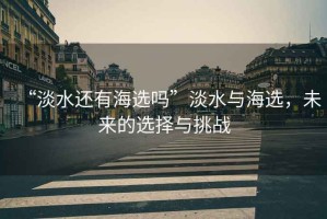 “淡水還有海選嗎”淡水與海選，未來(lái)的選擇與挑戰(zhàn)