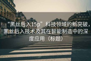 “黑絲后入15p”科技領(lǐng)域的新突破，黑絲后入技術(shù)及其在智能制造中的深度應(yīng)用（標(biāo)題）