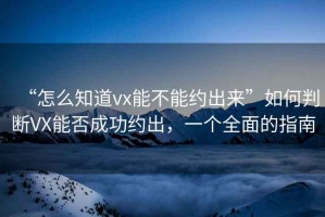 “怎么知道vx能不能約出來”如何判斷VX能否成功約出，一個全面的指南