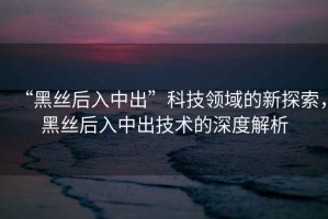 “黑絲后入中出”科技領(lǐng)域的新探索，黑絲后入中出技術(shù)的深度解析